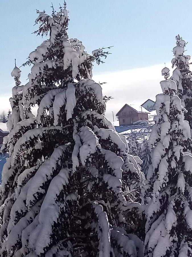 Apartman Bambi Zlatar Nova Varoš Esterno foto